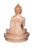 Soap Stone Hand Crafted Buddha (4.5 X 6.0 inches) - Agan Traders